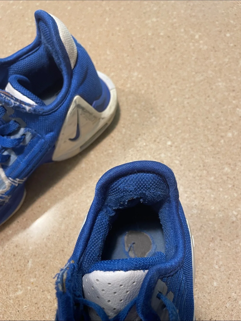 Nike Lebron Witness Kids Blue and White Athletic Sneakers